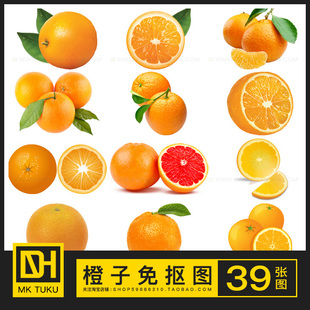 橙子柑子金环黄果水果免扣免抠图ps海报设计插画插图PNG图片素材