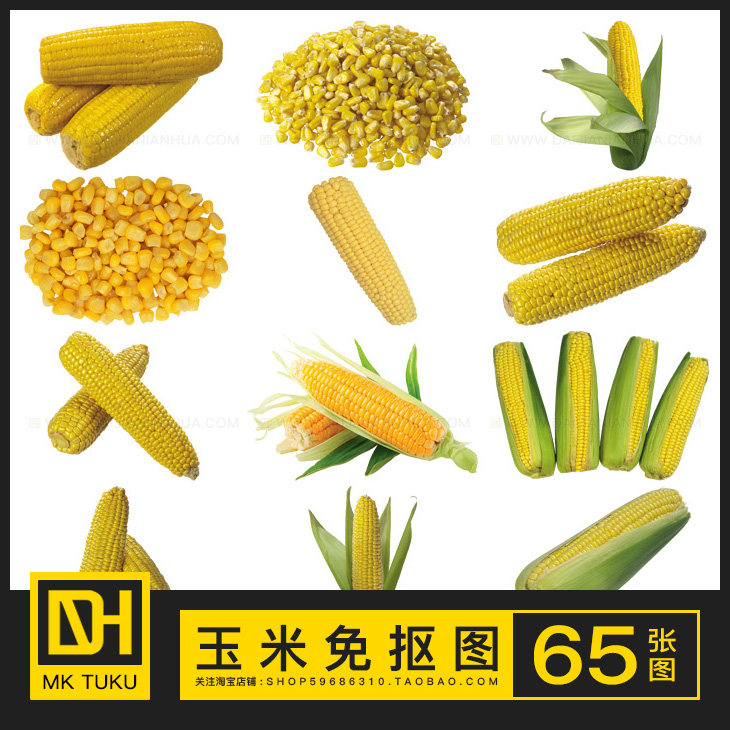 玉米蜀黍苞米蔬菜免扣免抠图ps海报设计插画插图透明png图片素材