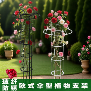 花架爬藤架蘑菇顶饰支撑落跑新娘月季铁线莲爬藤架园艺伞型攀爬架