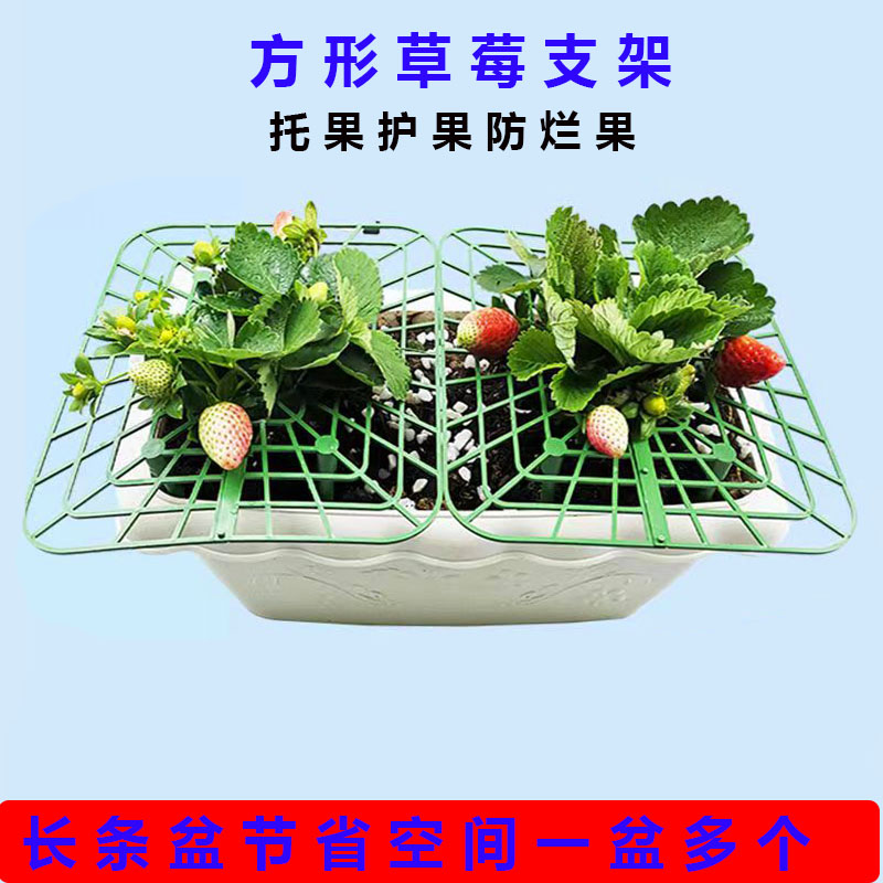 草莓立体栽培种植架方圆栽培草莓托盘架支架架子草莓托架水培架