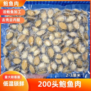 200头小鲍鱼仔鲍鱼肉烧烤串串火锅捞汁商用去壳去内脏酒店宴席