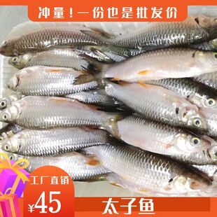 太子鱼忘不了鱼冷冻水产鲜活新鲜现杀去内脏小河鲜山根鱼