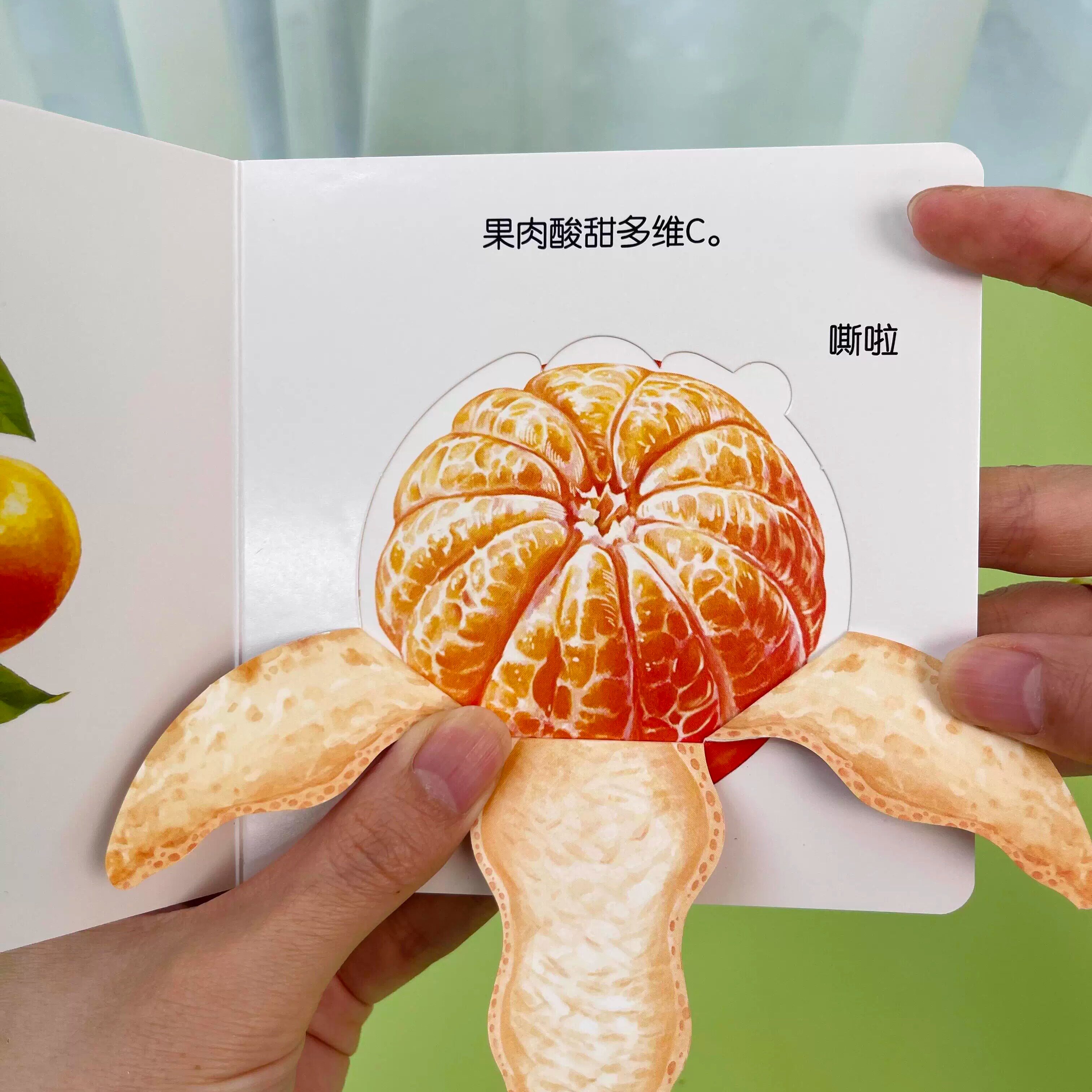 触摸书识字卡片启蒙幼儿早教认知书蔬菜水果识字书幼儿拼音卡片