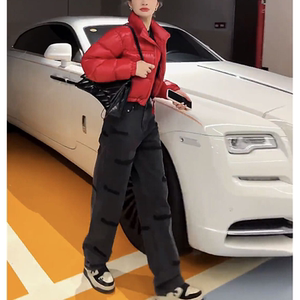 高级感设计小众立领短款羽绒服2023新款秋冬季时尚气质白鸭绒外套