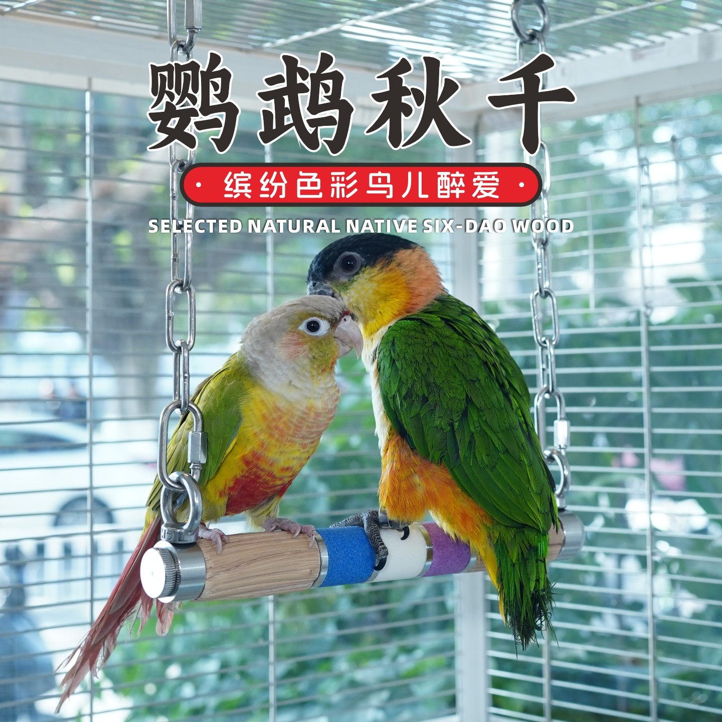 原木鹦鹉秋千站杆玩具天然实木站棍磨爪站立栖息虎皮玄凤鸟笼用品,宠物/宠物食品及用品,鸟秋千,淘宝优惠券,粉丝福利购,淘宝优惠卷
