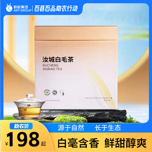 湖南特产汝城木草人白毛茶 高山老白茶银霜250克一盒