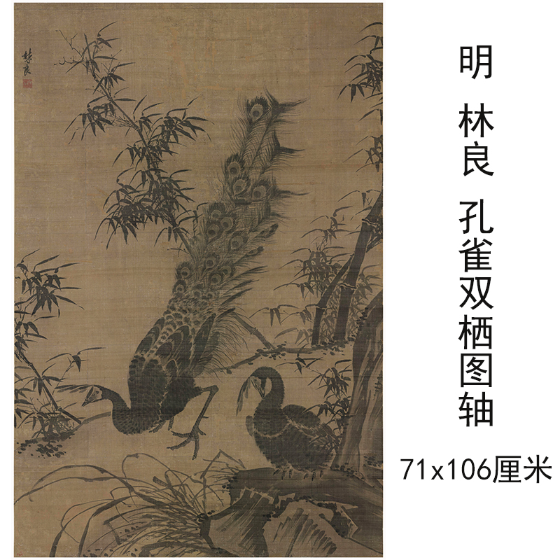 林良《孔雀双栖图》复古书画水墨花鸟画国画高清微喷挂抽复制装饰图片