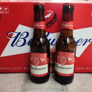 百威啤酒236ml  百威迷你小瓶236ml*24瓶装