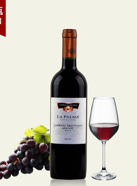 棕榈酿酒师9号葡萄酒智利原瓶进口葡萄酒果香浓郁 性价比很好