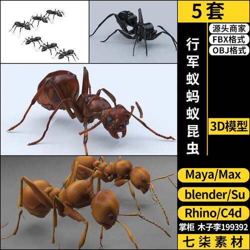 Rhino犀牛C4D行军蚁蚂蚁昆虫SU/blender/3Dmax模型 FBX OBJ MAYA