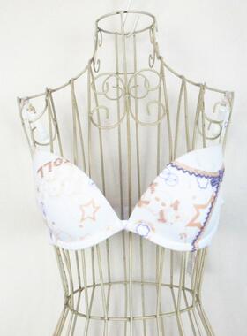 欧系列正品C-4-6-2-3刺绣聚拢双排扣加厚胸罩女内衣文胸 RA23019