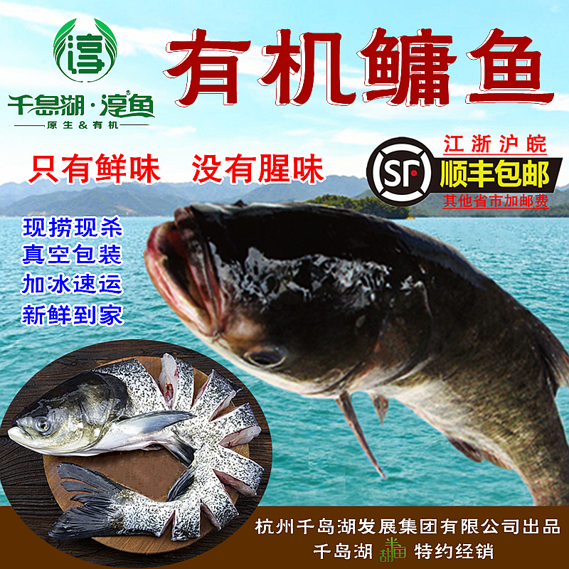 千岛湖特产正宗淳牌有机鳙鱼水产类淡水鱼鲢鱼胖头鱼现杀冰鲜速运