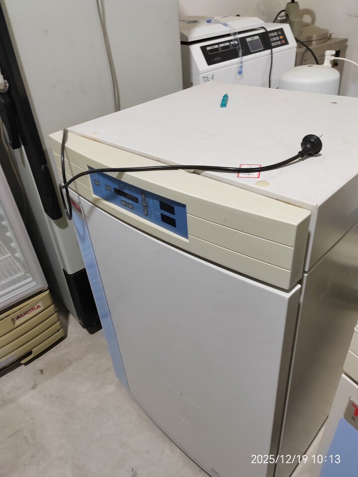 3月11日成都二氧化碳培养箱2台（型号为3111）网络拍卖公告