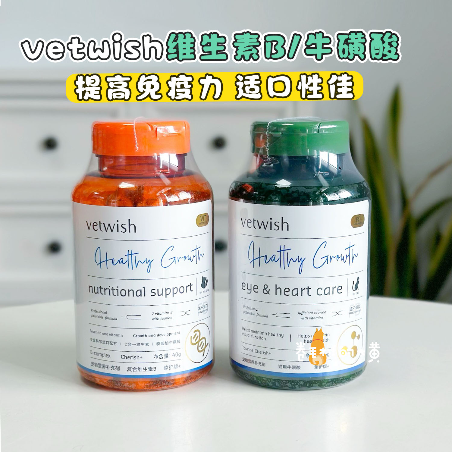 vetwish维生素B猫犬通用护肤美毛图片