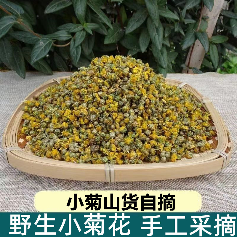 正宗野菊花茶野生正品散装苦菊泡茶野菊花干花中药材药用天然小菊