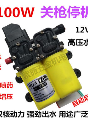 12V关枪停机隔膜泵抽水泵隔膜泵