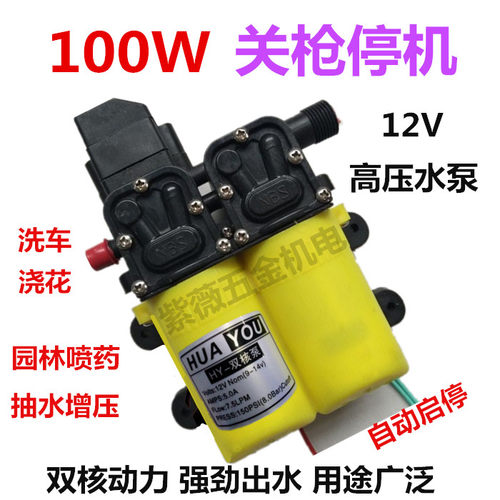 12V关枪停机隔膜泵抽水泵隔膜泵