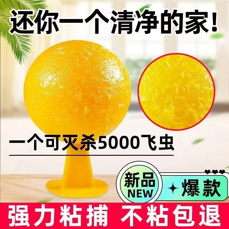室内去除小飞虫克星果蝇诱捕器