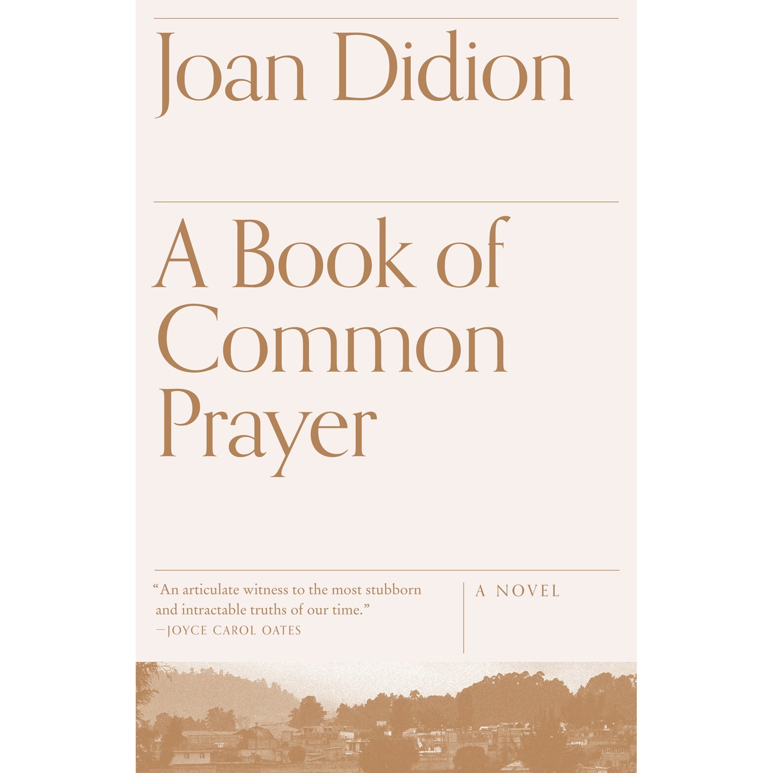 预售 公祷之书 琼·狄迪恩 Joan Didion 英文原版 A Book of Common Prayer 奇想之年作者