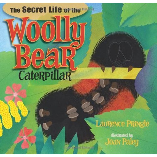 预订 毛熊毛毛虫的秘密生活 动物故事 英文 秘密生活 The Secret Life of the Woolly Bear Caterpillar:9781620910009