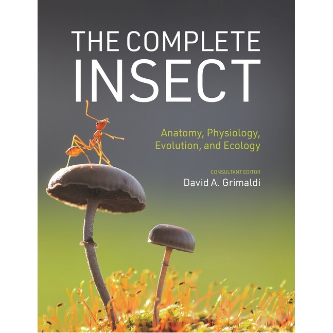 The Complete Insect Anatomy, Physiology, Evolution, and Ecology 昆虫大全——解剖学、生理学、进化和生态学 9780691243108