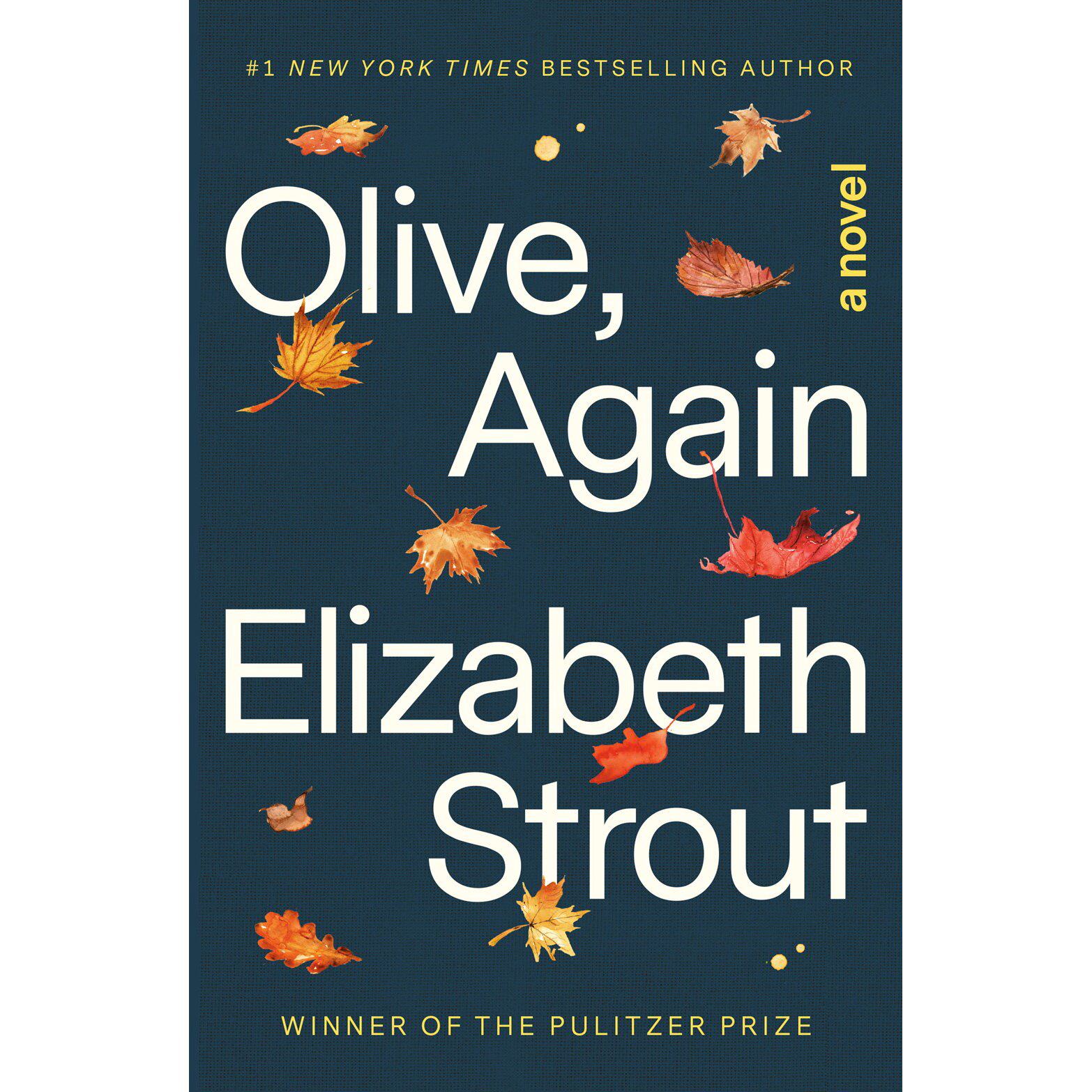 又见奥丽芙 奥丽芙基特里奇续集 Elizabeth Strout 微不足道的生活 Olive, Again A Novel 英文原版 Olive Kitteridge