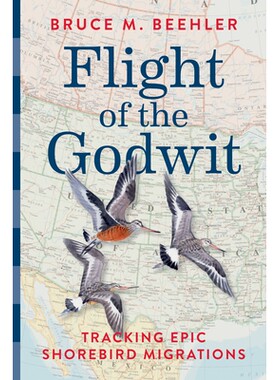 预订 塍鹬的飞行：追踪史诗般的滨鸟迁徙 自然 动物 鸟类 英文 Flight of the Godwit: Tracking Epic Shorebird Migrations