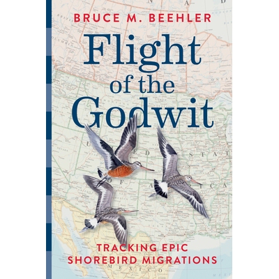 预订 塍鹬的飞行：追踪史诗般的滨鸟迁徙 自然 动物 鸟类 英文 Flight of the Godwit: Tracking Epic Shorebird Migrations