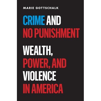 Crime and No Punishment Wealth, Power, and Violence in America 犯罪与不受惩罚:美国的财富、权力和暴力 9780691275253