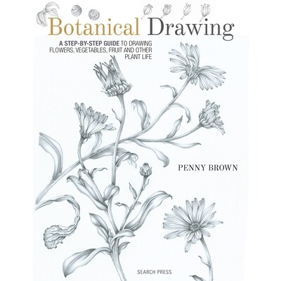 预订 植物绘画:一步步教你绘制花卉、蔬菜、水果及其他植物 绘画技法 素描 绘画教程 英文版 Botanical Drawing: A Step-By-Step