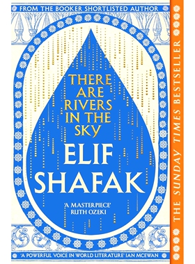 现货 天上有河 Elif Shafak 布克奖决选土耳其作家 失踪树木的岛屿 英文原版 There are Rivers in the Sky