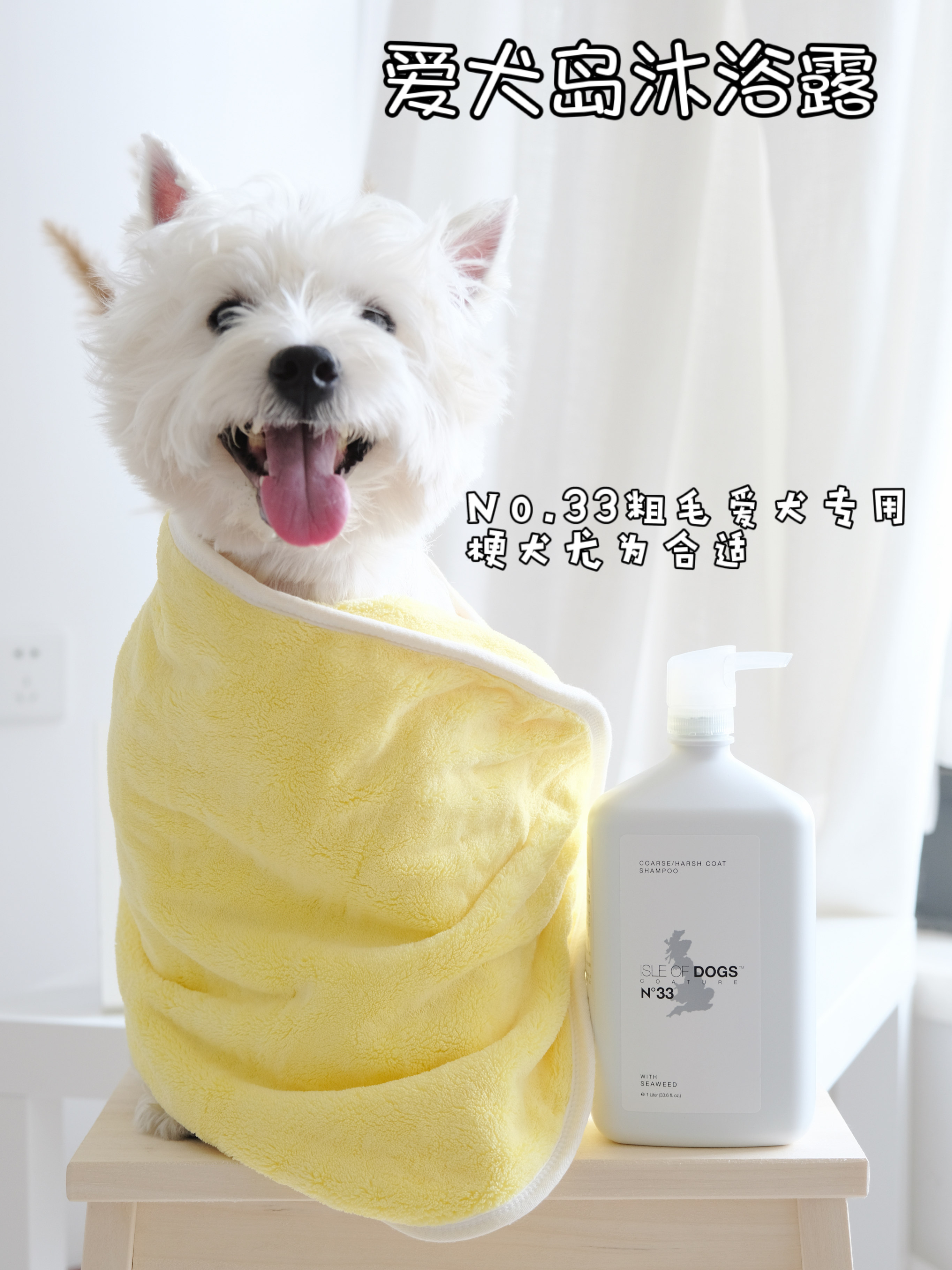 美国进口爱犬岛全系列沐浴露白毛蓬松梗犬专用西高地香波护毛素