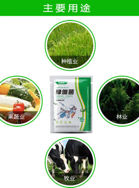 谷得丰绿僵菌 绿色农业种植  金龟子蝗虫臭虫蟑螂药 可湿性粉剂