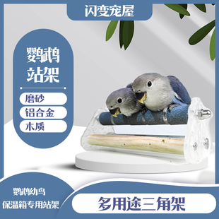 鹦鹉保温箱专用站架玩具磨嘴磨爪站杆鸟笼配件磨砂轮碗