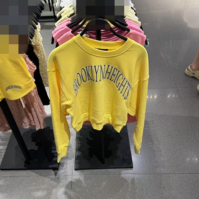 ZARLuvip查罗秋季新款刺绣卫衣女