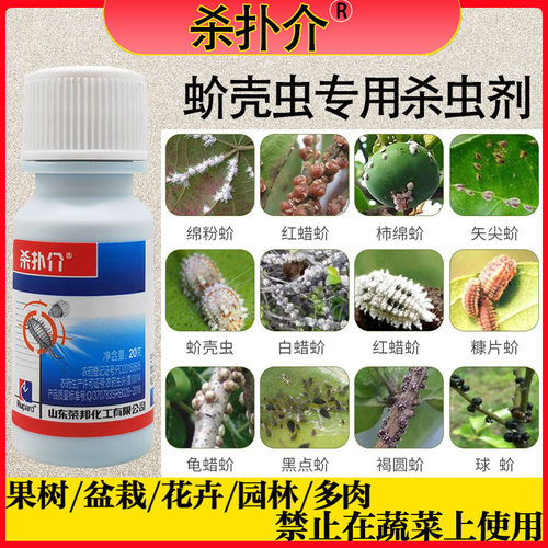 杀扑介园林多肉花卉蚧壳虫杀虫剂