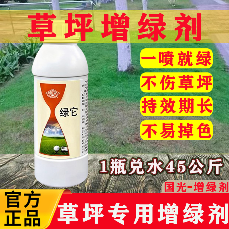 国光绿它婚礼草坪增绿剂草皮枯黄