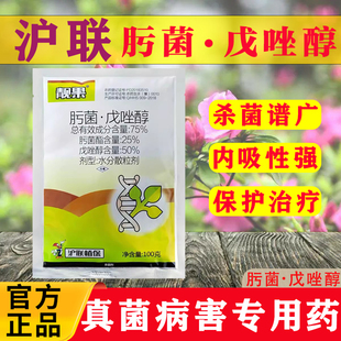 沪联靓果75肟菌酯戊唑醇水稻小麦纹枯病白粉炭疽病农药杀菌剂正品
