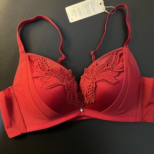 伊75A 80C上薄下厚超聚拢无钢圈刺绣高奢调整型10811033 80A