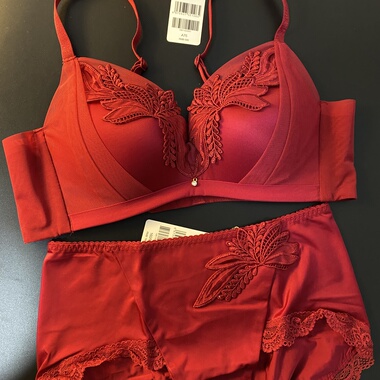 伊75A红中厚上薄下厚超聚拢无钢圈调整型舒适套装10811033