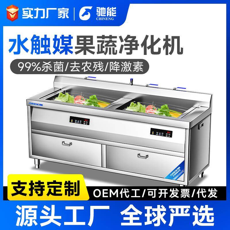 商用嵌入式全动自动洗菜机家用果蔬清洗机水触媒去农药环保