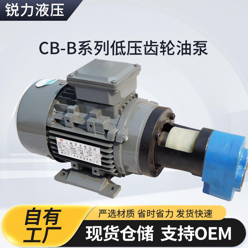 CB-B2.5/4/6/10齿轮油泵/机床润滑油泵/速机齿轮泵电机组压图片
