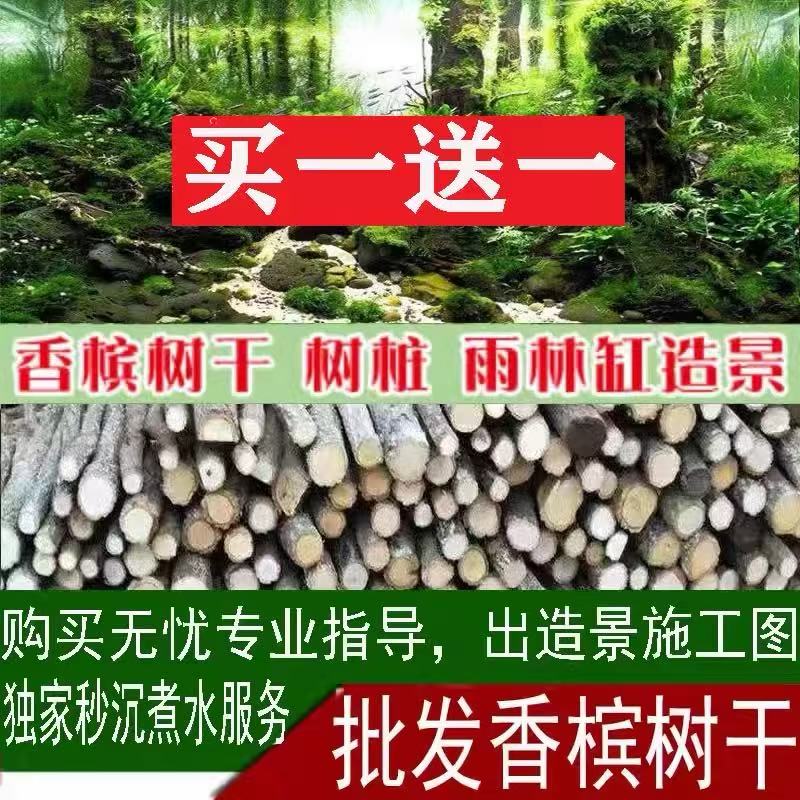 香槟树干森林造景沉木水草