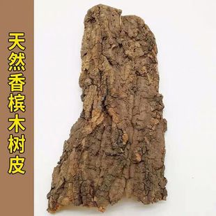 香槟树皮 雨林生态缸背景板 爬宠躲避树皮  洋兰造景树皮不腐烂
