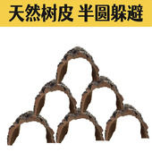 半圆躲避爬宠树洞躲避洞寄居蟹造景