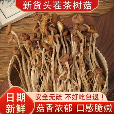 茶树菇干货茶薪菇500g
