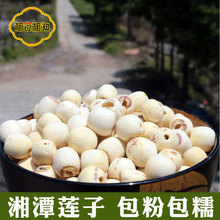 白莲去芯磨皮干货250g 湘潭特产通芯白莲子三寸湘莲