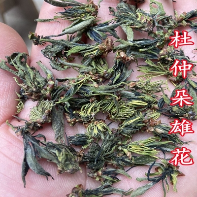 杜仲雄花精选整朵发货花粉多