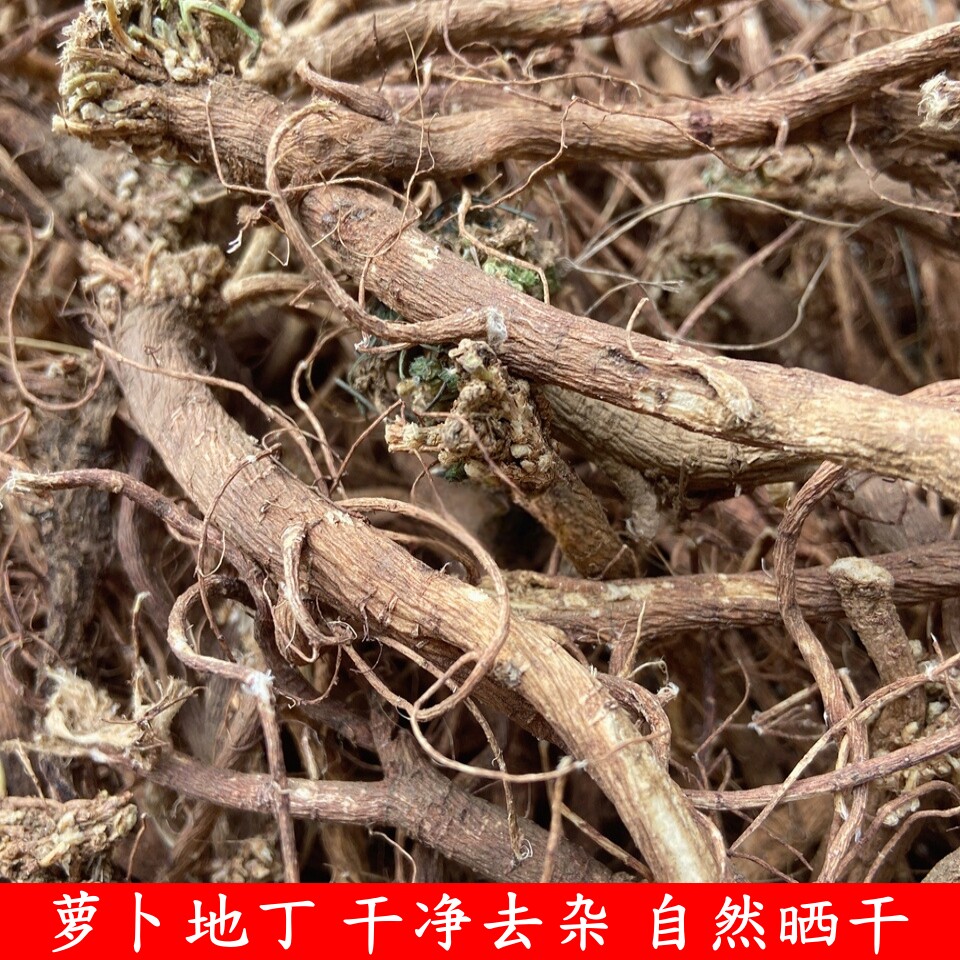 甜地丁萝卜地丁大根干品精选去杂