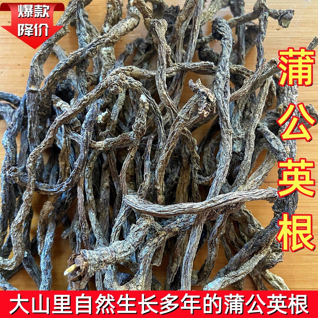 蒲公英根婆婆丁黄黄苗根精选蒲公英老根自然晒干无添加蒲公英根部